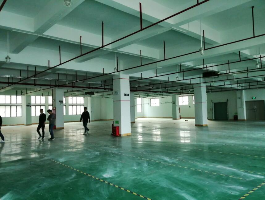 赛艺达—工厂装修