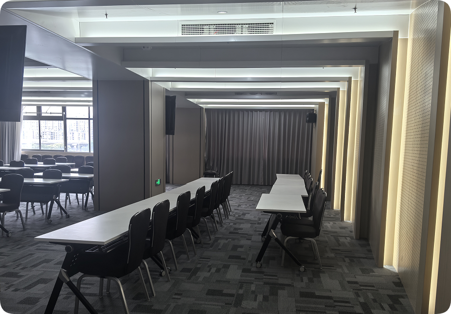 赛艺达—会议厅装修