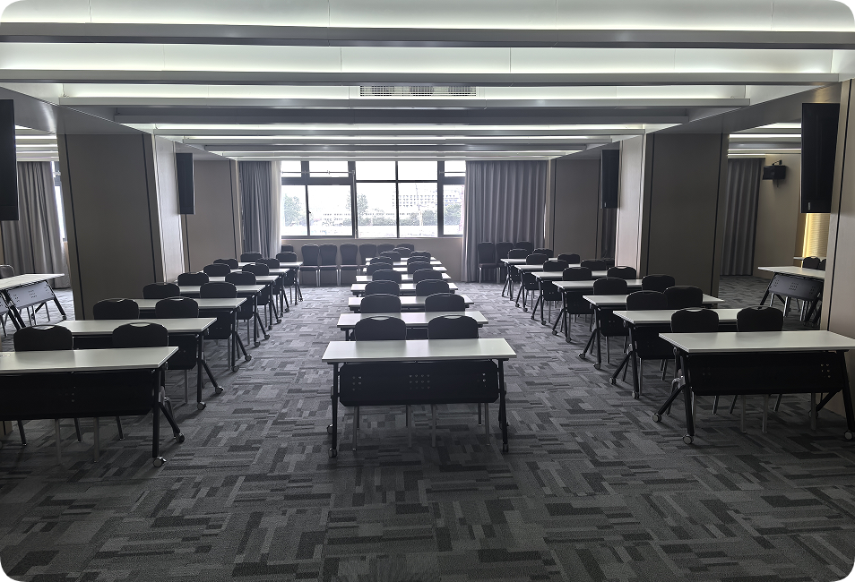 赛艺达—会议厅装修