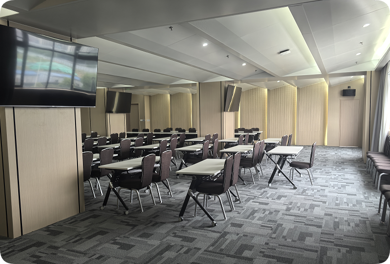 赛艺达—会议厅装修