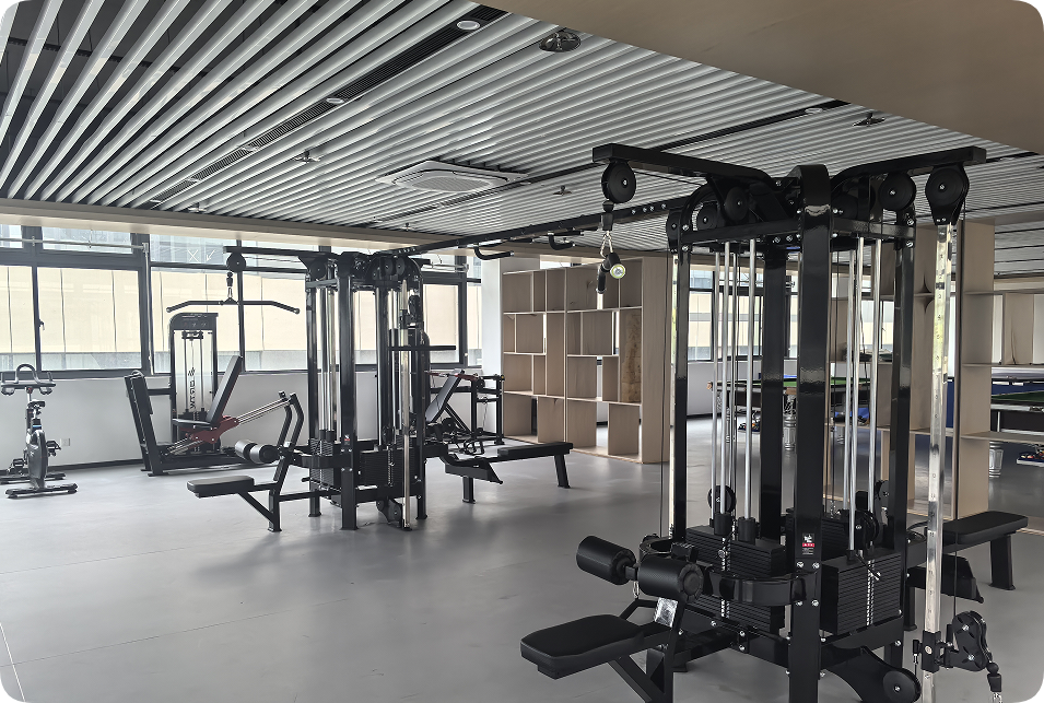 赛艺达—休闲运动装修