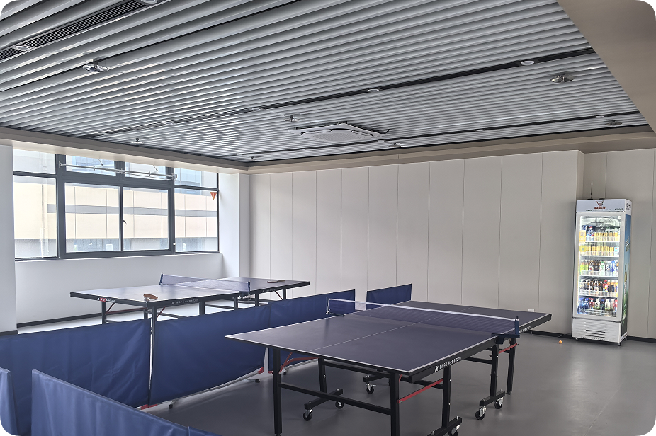 赛艺达—休闲运动装修