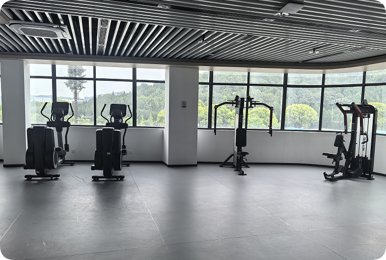 赛艺达—休闲运动装修